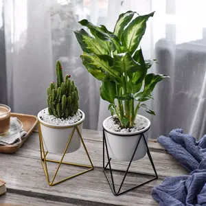 Trong Nhà Trang Trí Sân Vườn Vòng Planter Bát Trắng Gốm Xương Rồng Xương Rồng Hoa Chậu Với Giá Đỡ Kim Loại