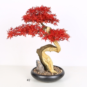 Artificial semillas <span class=keywords><strong>de</strong></span> <span class=keywords><strong>Bonsai</strong></span> <span class=keywords><strong>de</strong></span> arce árbol decoración interior árbol - Product Image 3