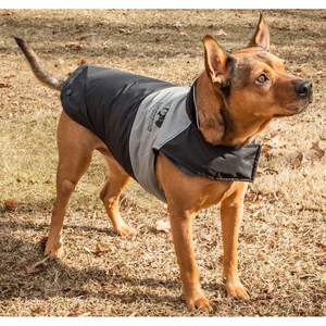 DB Touchdog Lightening-Shield Chaqueta impermeable 2 en 1 para perros convertible con tecnología Blackshark - Product Image 4