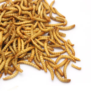 Alimento pequeno do aquário da mealworm da proteína alta, alimentação do pássaro do peixe da frango do alimento - Product Image 4