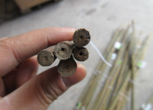 Cây tre hỗ trợ tôi định hình để trồng rau của riêng bạn trong vườn - Product Image 6