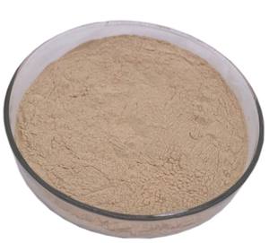 Toplu doğal sarımsak özü <span class=keywords><strong>Allicin</strong></span> tozu <span class=keywords><strong>1%</strong></span> - Product Image 2