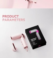 Nouveau Sèche-Cheveux Électrique Portable Pliable MINI OEM ODM 2026 – Sèche-Cheveux Ionique Multi-Styler 2026 Idéal pour les Voyages