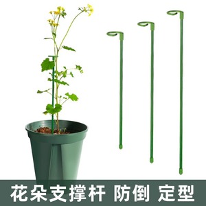 Tuteurs d'escalade autonomes pour plantes grimpantes d'intérieur et d'extérieur (Pothos, Cactus de Noël) - Product Image 3