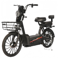 Vélo Électrique Adulte 20 Pouces 350W 48V à Batterie Plomb-Acide, Vélo de Ville, Trottinette Électrique Adulte Économique – Vente Directe Usine