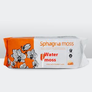 Orchidée de mousse Phalaenopsis séchée fraîche Dendrobium plante mangeuse d'insectes sol spécial pour Noël Thanksgiving Halloween - Product Image 1