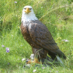Vente en gros de simulation réaliste, sculpture d'animal grandeur nature, statue d'aigle en fibre de verre en polyrésine pour ornements de jardin - Product Image 3