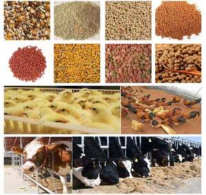 Mélangeur d'aliments Boîte <span class=keywords><strong>de</strong></span> vitesses Moteur 2,5 kW Mélangeur d'aliments Usine <span class=keywords><strong>de</strong></span> transformation des aliments pour animaux pour les fermes Vente <span class=keywords><strong>de</strong></span> céréales Philippines une tonne - Product Image 3