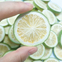 Tranches de citron vert lyophilisées en gros |   Pack de 500g en vrac pour garniture de cocktail infusé à froid au thé aux fruits |   Mélange sur mesure disponible