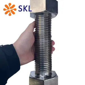 Customized All Kinds Of Steel Bolt And Nut Top Quality Hexagonal Nut Stainless Steel SS304 SS316 SS316L Plain Hex Welding Nuts