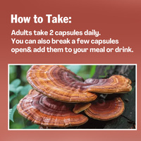 Winstown Ganoderma lucidum cápsulas polvo de esporas EXTRACTO DE Reishi orgánico Extracto de hongos en polvo píldoras suplemento dietético cápsula