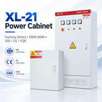 Armoire électrique basse tension XL-21 sur mesure en acier pour raffinerie de pétrole et projets industriels lourds – Direct Usine