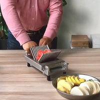 AY-G10 RVS Fruit- en Groentesnijder Aardappel- en Groentehakker Multifunctionele Snijder
