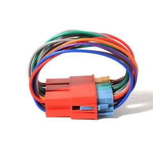 세탁기용 가전 제품 맞춤형 2 핀 암 커넥터 와이어 하네스 - Product Image 1