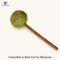 Bâtonnet de chat à la catnip compressé avec manche en bois naturel pour jeu interactif