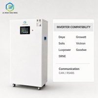 Batterie LiFePO4 murale de 16,07 kWh 51,2 V 314 Ah pour système de stockage d'énergie solaire domestique avec BMS intégré
