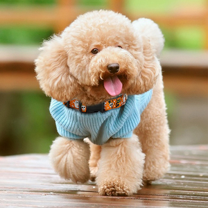 Correa de Nylon Personalizada de Alta Calidad para Mascotas, Diseño Exclusivo para Halloween, con Hebilla Ajustable, para Entrenamiento, de Lujo - Product Image 3