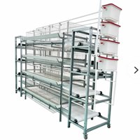 Cage à poulets de type H, cage à poulets pondeuses automatiques, vente directe d'usine pour fermes avicoles