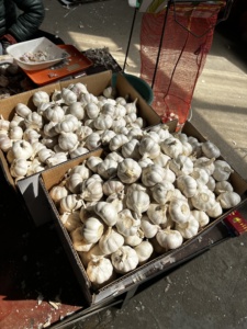 Tươi Tỏi Trắng Nhà Máy Bán Buôn 10Kg/20Kg Túi Lưới/Carton Trung Quốc Tỏi Nhà Cung Cấp Và Tươi Bóc Vỏ Tỏi Bán Buôn Xuất Khẩu - Product Image 3