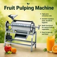 RVS grote capaciteit fruit- en groentepulper, sapcentrifuge, extractor machine