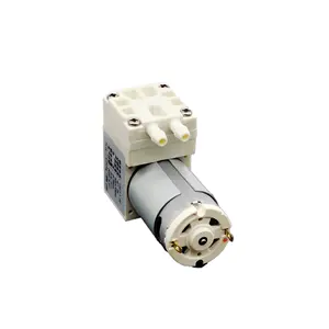 Hckg 2020 Populaire Product 5/8/9/10W Dc Borstel Micro Motor Membraanluchtpomp