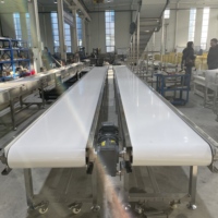 Convoyeur à bande en acier inoxydable SUS304 avec bande en PVC et protections latérales en PU pour la transformation alimentaire