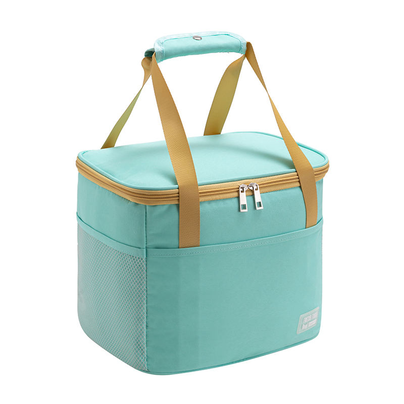 american airlines business class bolsagage allowance