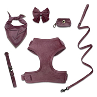 Ensemble de harnais pour chien de luxe en faux daim 6 pièces avec gilet, laisse, collier, bandana, porte-sac à excréments et nœud papillon pour chiens de petite et moyenne taille
