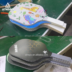 OEM&ODM匹克球球拍，USAPA认证碳纤维匹克球套装，带球拍，匹克球球拍套装 - Product Image 3