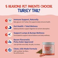 Complément de traitement des lipomes pour chiens et chats à base de champignon Turkey Tail – Soutien immunitaire, pour les nodules et les bosses – Vitamines pour animaux de compagnie de qualité supérieure en poudre – Entièrement naturel et rapide