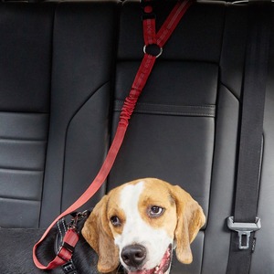 Laisse Rétractable Réfléchissante en Nylon pour Chien et Chat, Corde Élastique Robuste, Vente en Gros - Product Image 2