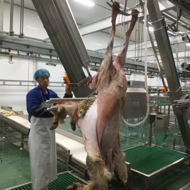 Koyun mezbaha kuzu abattoir koyun derisi makinesi kesim hattı ekipmanları için keçi butchery makineleri