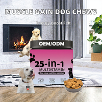 Friandises à mâcher molles pour chiens à marque privée, pour la croissance musculaire, riches en protéines, mélange pour la santé intestinale à six souches, absorption rapide, compléments alimentaires