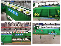 HUAGANG RVS Fruit- en Groente Sorteermachine met 9 sorteerstanden en een capaciteit van 7200 stuks/uur