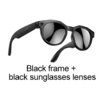 Black frame + black sunglasses lenses