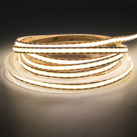 Kit de bande LED COB flexible 12V blanc froid CRI 95 pour contrôle 5M, bande lumineuse LED extérieure