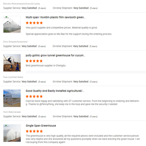 Cheap Tomato Agricultural <strong>Plastic</strong> Film <strong>Cover</strong> Low Cost Economic Tunnel <strong>Greenhouse</strong> for Vegetable - Product Image 6