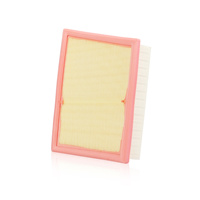 Filtre à air de haute qualité 13717619267 13718513944 Filtres à air pour voitures pour B-MW et MINI 2014 + 2-Series X2