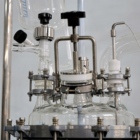 Réacteur mélangeur chimique industriel automatique 100L à chemise en verre avec PLC pour décarboxylation