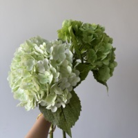 DC010 Dalian Chermy bunga buatan Penjualan Terbaik Hydrangea kepala besar hijau tua Hydrangea