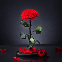 Hadiah Hari Valentine Mewah Bunga Diawetkan Kubah Kaca Mempesona Diawetkan Selamanya Mawar Dalam Kubah Kaca