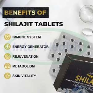 Tablet Resin Shilajit Organik Alami Himalaya Murni dari Solilan Private Label dalam Kemasan Besar - Product Image 3
