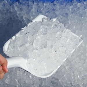 Máquina de Hielo Independiente para Restaurantes y Bares Comerciales, 1000 kg/24 h, 110/220 V, Forma de Bloque de Hielo, Máquina para Hacer Cubitos de Hielo para Bebidas Frías - Product Image 2