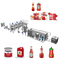 Hete Verkopende Automatische Tomatensaus Ketchup Maker Machine Plant Ingeblikte Tomatenpuree Verwerkingslijn