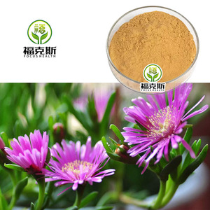 Extracto Puro de <span class=keywords><strong>Lampranthus</strong></span> en Polvo 10:1, Extracto Vegetal Estandarizado para Productos de Salud y Belleza, Suministro a Granel - Product Image 1