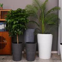 整个盆栽活植物大可以让任何空间变得美丽而充满活力 阿里巴巴