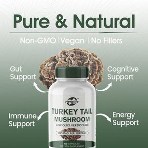 OEM ODM Venda Quente Suplementos Herbal Coriolus Versicolor Extrato Turquia Cauda Cogumelo Cápsulas - Product Image 4