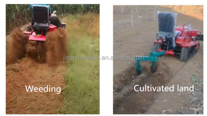 Piccoli Macchinari Agricoli per Terreni Coltivati - Product Image 3