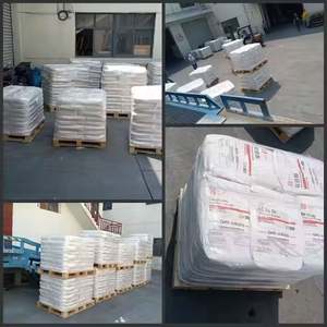 Dioxyde de titane de qualité industrielle CHTi, rutile TiO2 TIOXHUA R219, pureté 99%, absorption d'huile 20max - Product Image 3