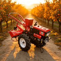 Tracteur diesel 2 roues motrices avec ensemble complet d'outils agricoles pour petites exploitations agricoles